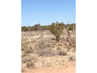 3167 S Antler Drive, Valle, AZ 86046 