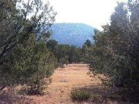 5695 N Wilshire Dr, Williams, AZ 86046 