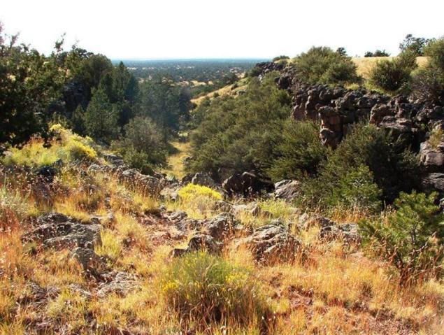 8146 Roper Circle, Williams, AZ 86046 