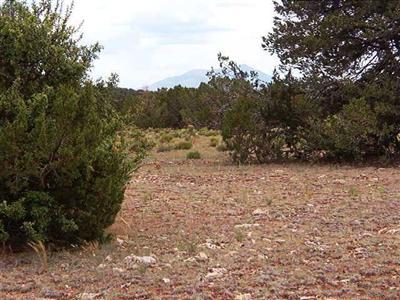 7354 Bird Dog Circle Lot C, Williams, AZ 86046 