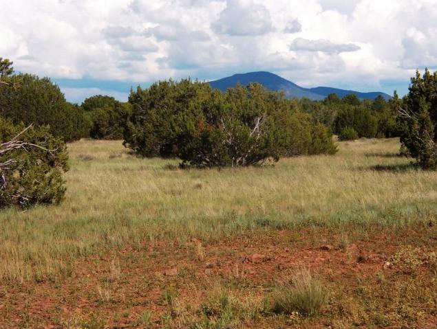 1311 E Utopia Trail, Williams, AZ 86046 