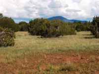 1311 E Utopia Trail, Williams, AZ 86046 