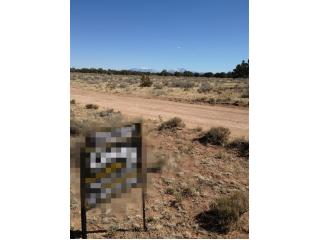 3625 E. Highgrove, Valle, AZ 86046 