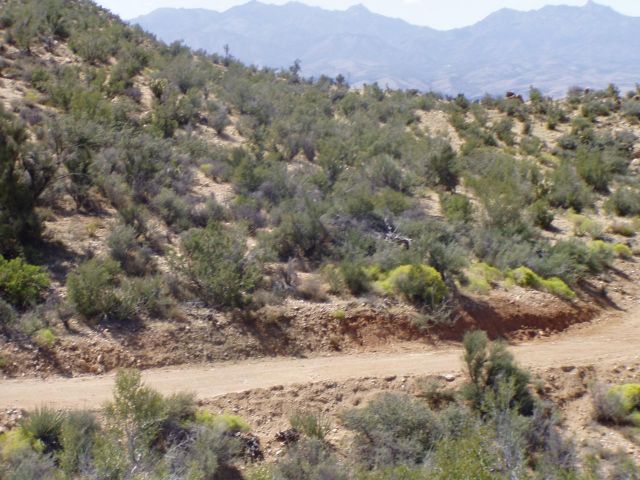 0 Windmill Mountain Ranches M, Kingman, AZ 86402 