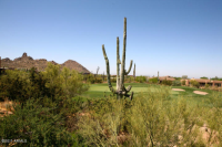 28518 N 101ST Place, Scottsdale, AZ 85262 