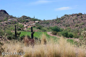 9285 E AVENIDA FIEBRE DE ORO --, Gold Canyon, AZ 85118 