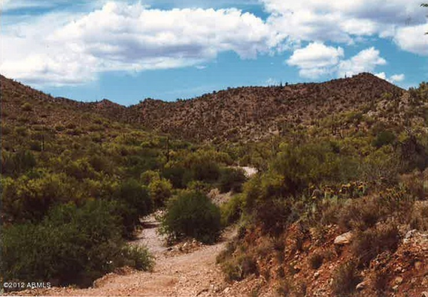 55400 N CASTLE HOT SPRINGS Road, Morristown, AZ 85342 