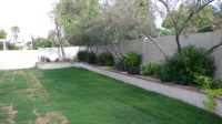 127 W BUENA VISTA Drive, Tempe, AZ 85284 