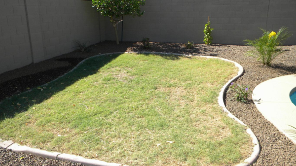 3550 S Springs Drive, Chandler, AZ 85286 