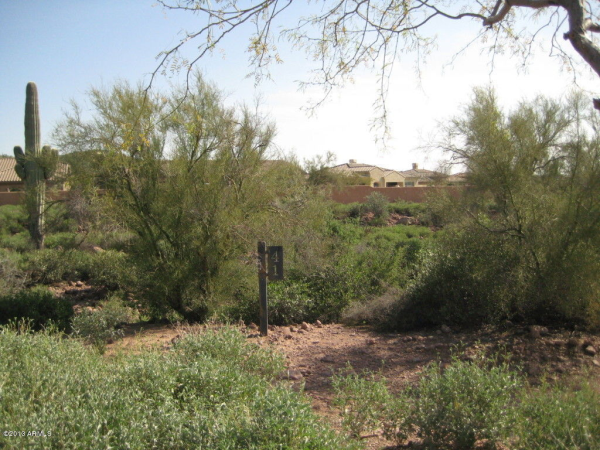 3505 S FIRST WATER Trail, Gold Canyon, AZ 85118 