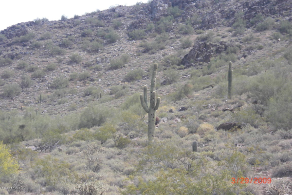 5344 E Prickley Pear Road, Cave Creek, AZ 85331 