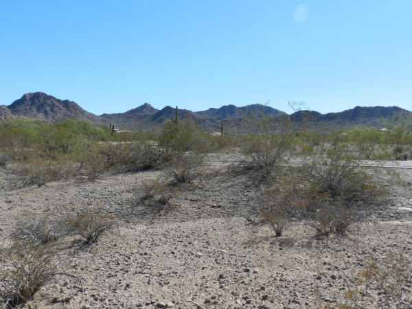 8633 SAN FILIPE Drive, Goodyear, AZ 85338 