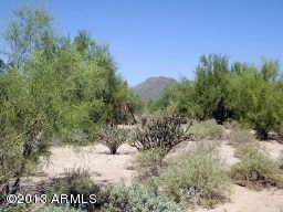 35240 N 52ND Place, Cave Creek, AZ 85331 