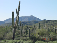 42023 N 72ND Street, Cave Creek, AZ 85331 