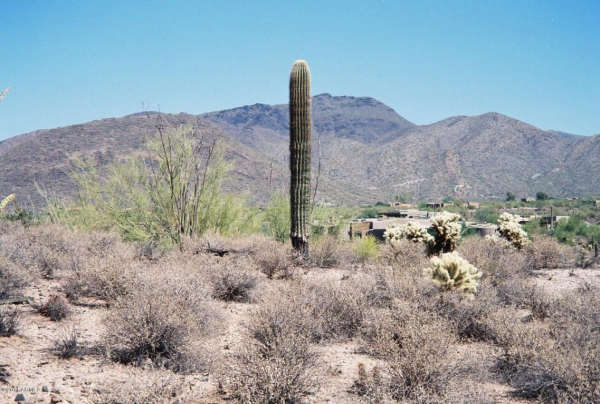 7250 E Rising Star Way, Carefree, AZ 85377 