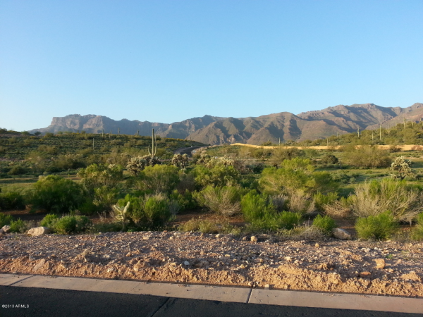 9470 E THUNDER PASS Drive, Gold Canyon, AZ 85118 