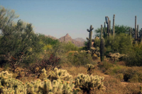 8300 E DIXILETA Drive, Scottsdale, AZ 85266 