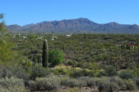 51xx E DESERT HILLS Drive, Cave Creek, AZ 85331 