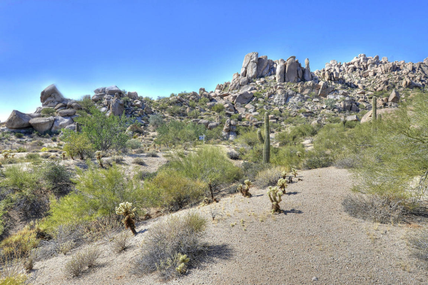 25020 N 114TH Street, Scottsdale, AZ 85255 