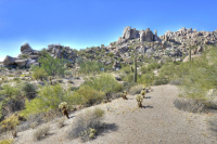 25020 N 114TH Street, Scottsdale, AZ 85255 