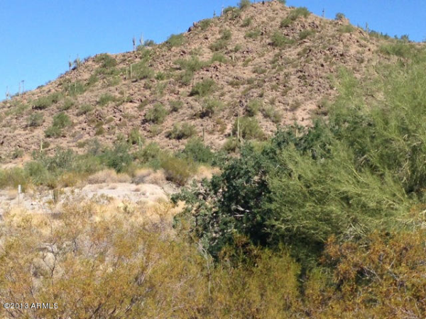 4332 N Sonoran Heights Circle, Mesa, AZ 85207 