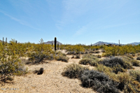 24355 N 91st Street, Scottsdale, AZ 85255 