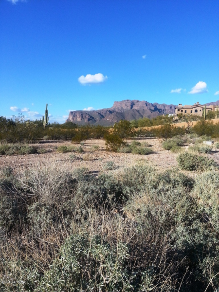 3636 S QUAIL CREST Street, Gold Canyon, AZ 85118 