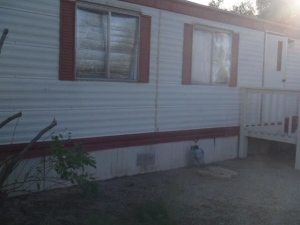 10517 CARNEY DR, Wellton, AZ 85356 