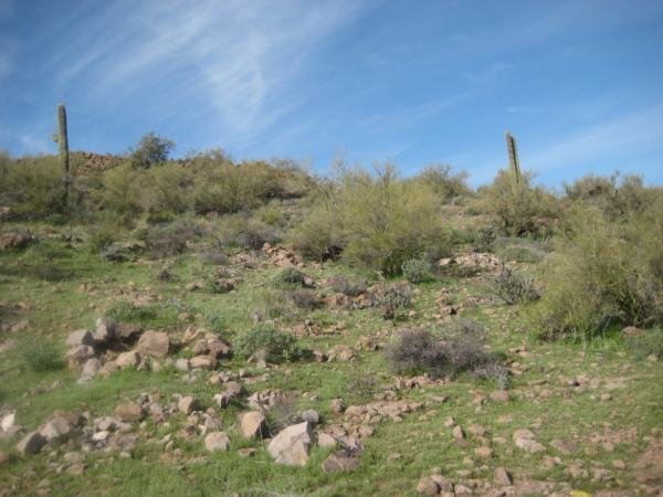 42926 N 10TH Street, New River, AZ 85087 