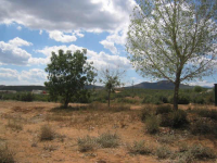 17650 E STATE ROUTE 169 --, Dewey, AZ 86327 