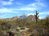 27034 N 92nd Street, Scottsdale, AZ 85262 