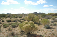 8425 E Nightingale Star Drive, Scottsdale, AZ 85266 