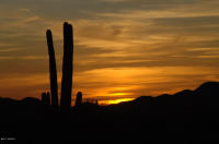 37225 N BLUE RIDGE Place, Cave Creek, AZ 85331 