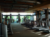 3683 E LOUISE Drive, Phoenix, AZ 85050 