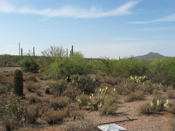 0 N 1st Drive, New River, AZ 85087 