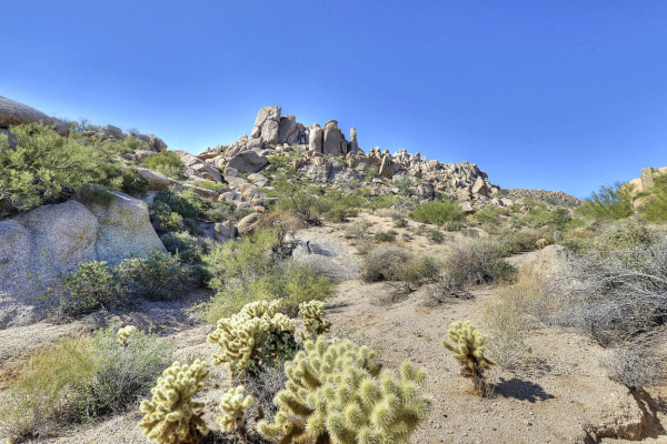 24988 N 114TH Street, Scottsdale, AZ 85255 