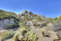 24988 N 114TH Street, Scottsdale, AZ 85255 