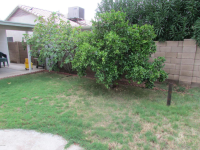 3340 W MELINDA Lane, Phoenix, AZ 85027 