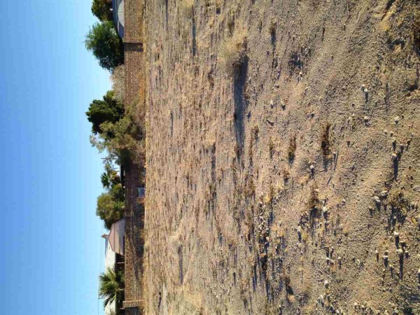 11843 S SHERYL DR, Yuma, AZ 85367 