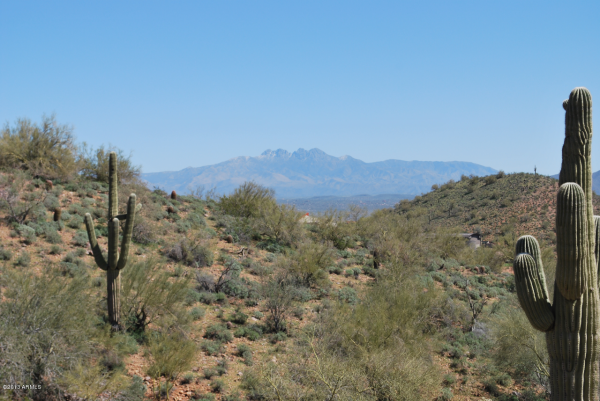 15905 E Tombstone Trail, Fountain Hills, AZ 85268 