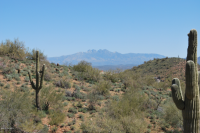 15905 E Tombstone Trail, Fountain Hills, AZ 85268 