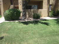 8260 E ARABIAN Trail, Scottsdale, AZ 85258 