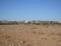 10700 W PINNACLE PEAK Road, Peoria, AZ 85383 