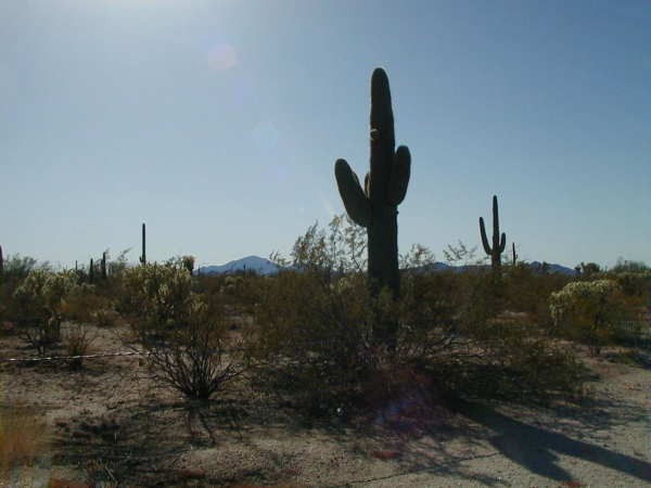 400 N Quartzsite Drive, Florence, AZ 85232 