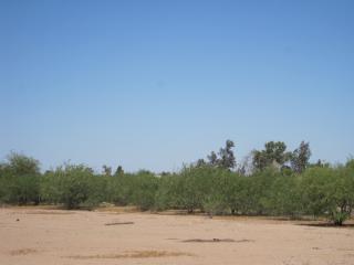 0 W. Dreamy Draw DR. 1, Casa Grande, AZ 85122 