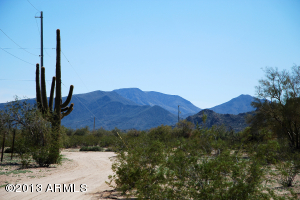 51544 W AGATE Road, Maricopa, AZ 85139 