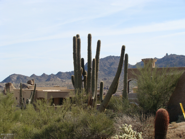 25421 N 113TH Way, Scottsdale, AZ 85255 