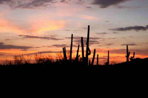 40119 N 3RD Street, Phoenix, AZ 85086 