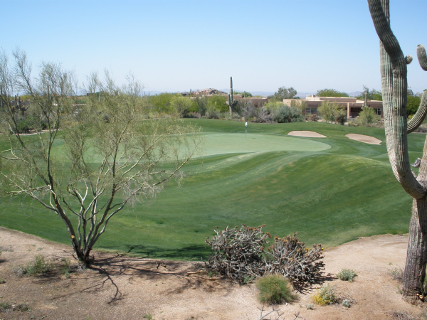 28462 N 101ST Place, Scottsdale, AZ 85262 