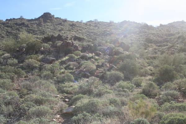 14841 E Shadow Canyon Drive, Fountain Hills, AZ 85268 